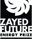 Zayed Future Logo